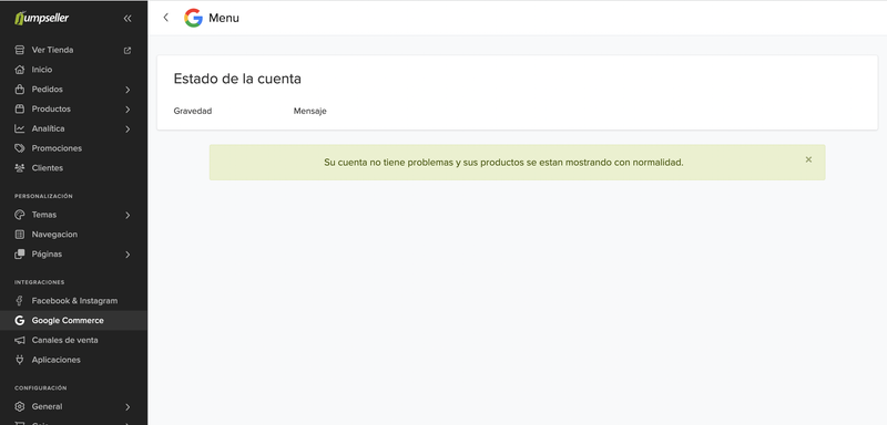 Google Performance Max Campaigns Example