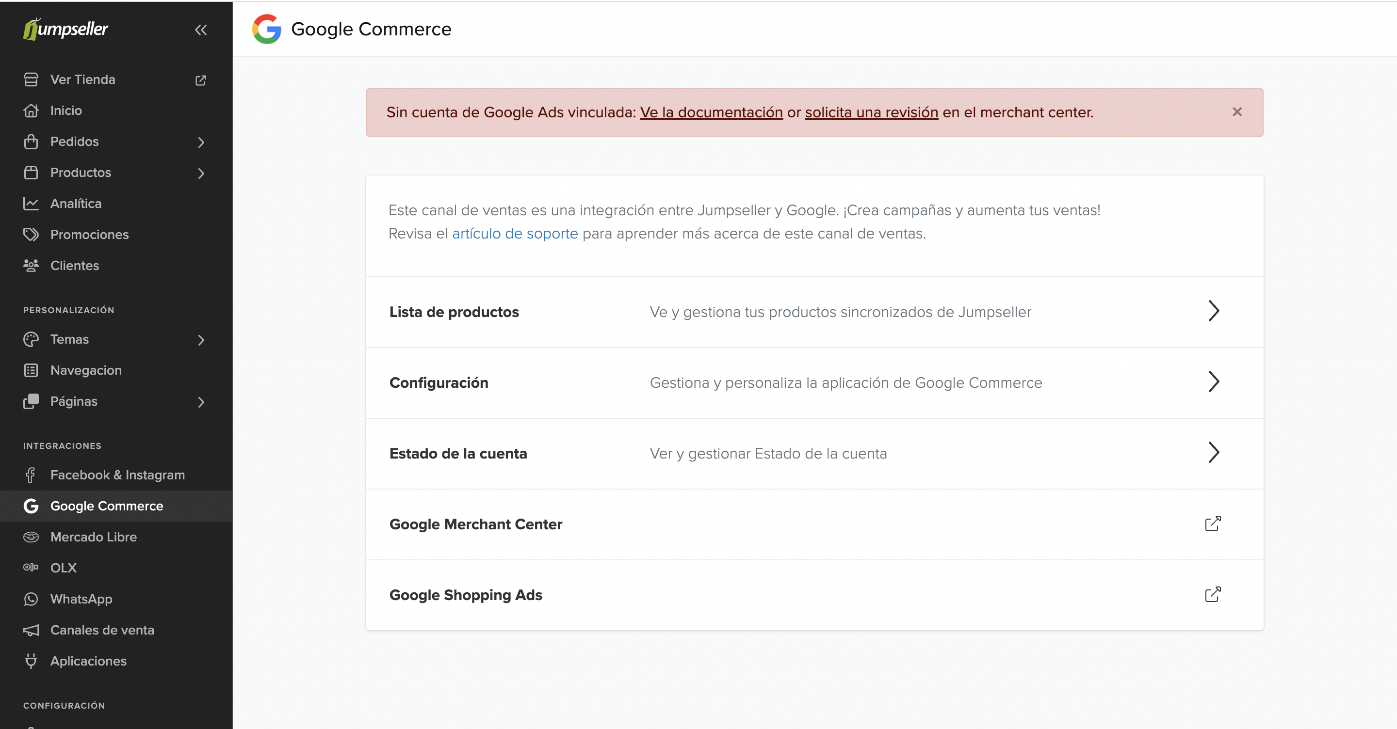 Google Performance Max Campaigns Example