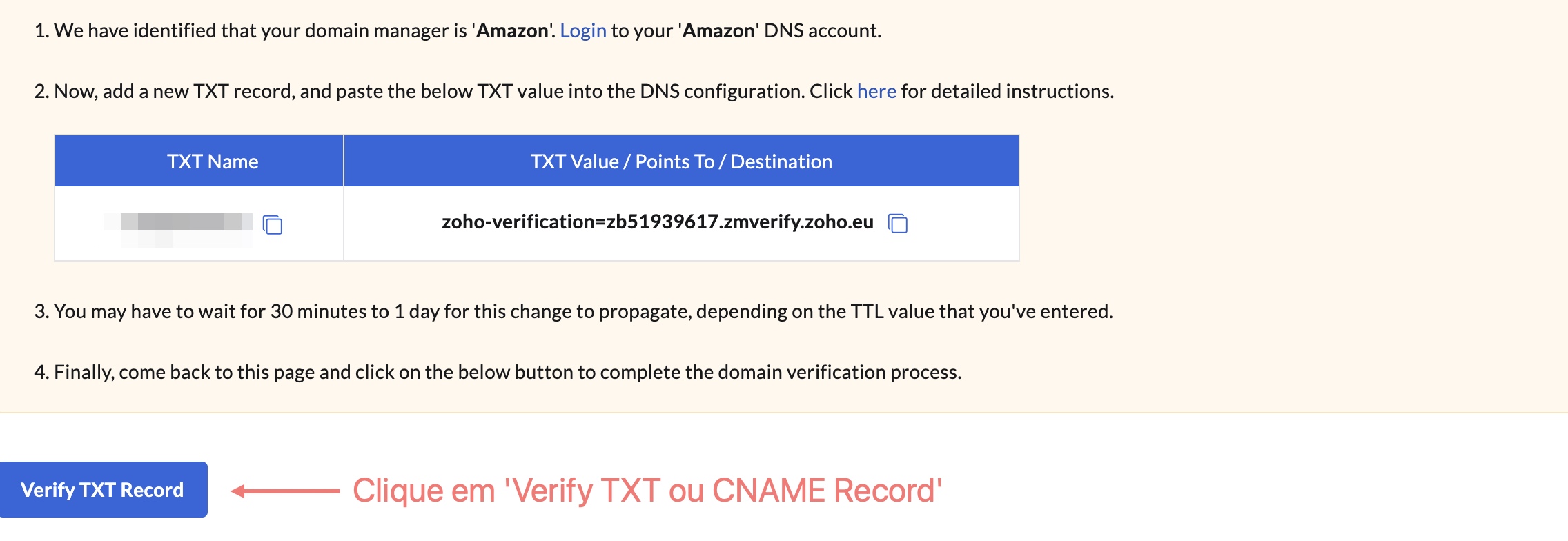 verify-record